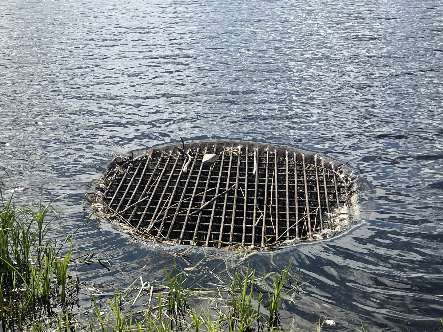 Запрудня, талдомский городской округ,
