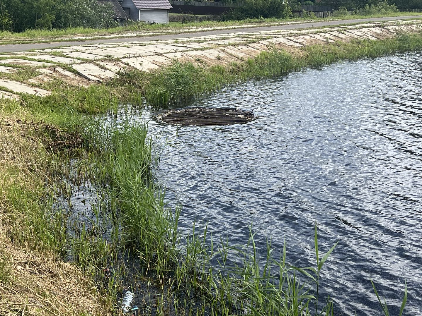 Запрудня, талдомский городской округ,