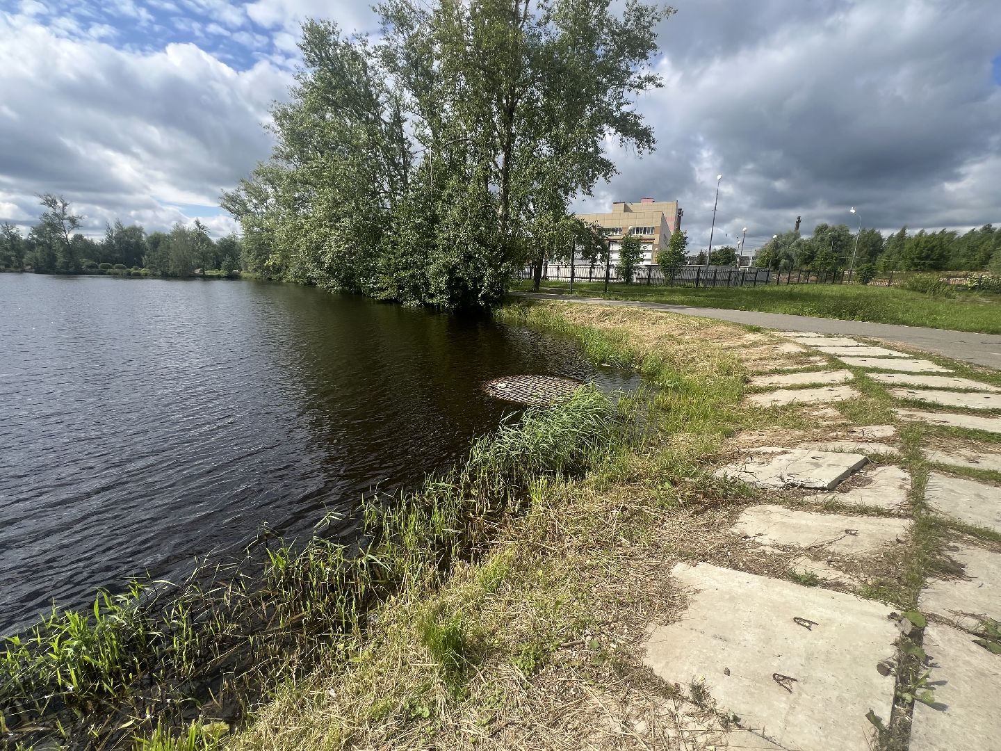 Запрудня, талдомский городской округ,