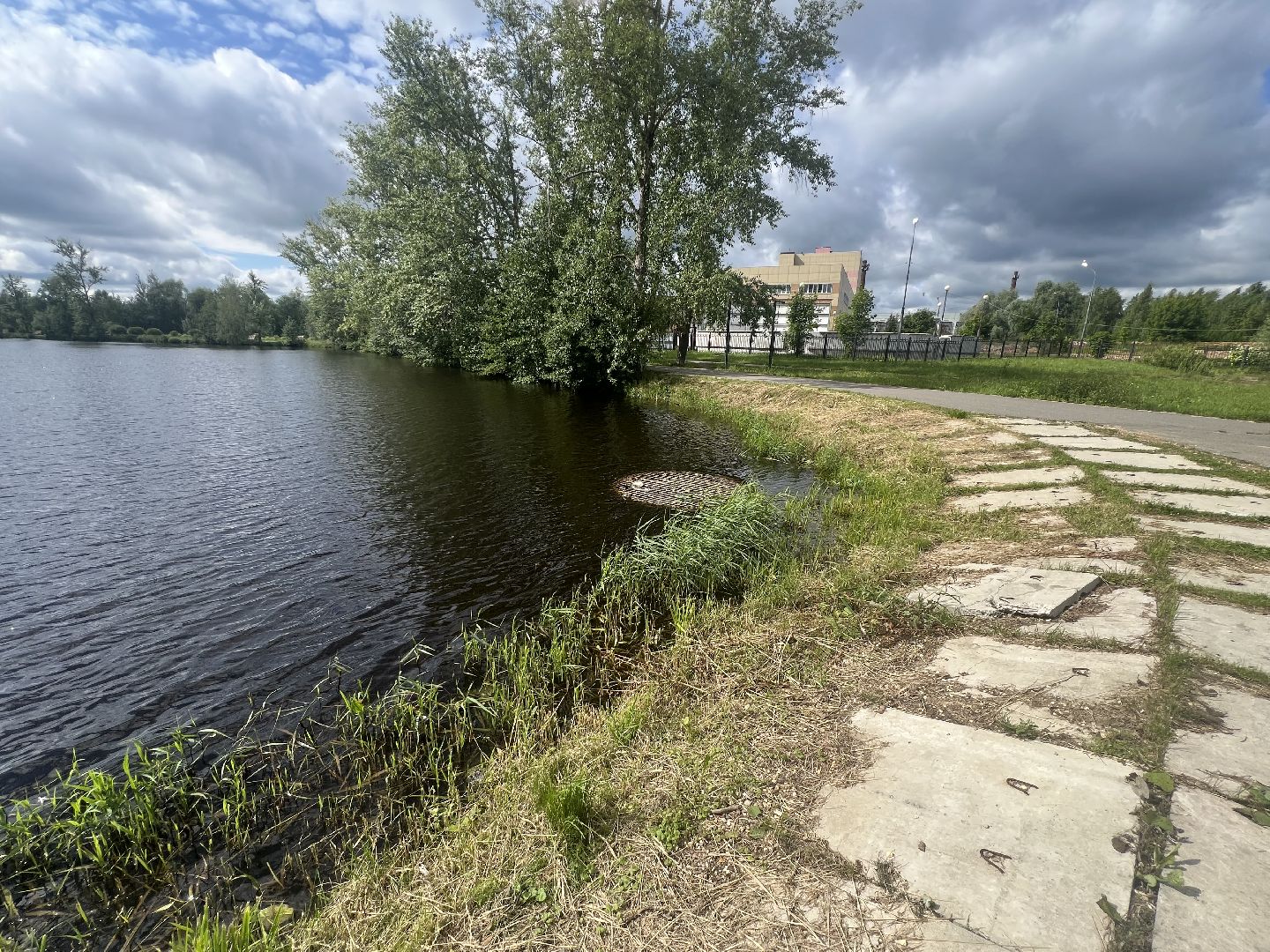 Запрудня, талдомский городской округ,