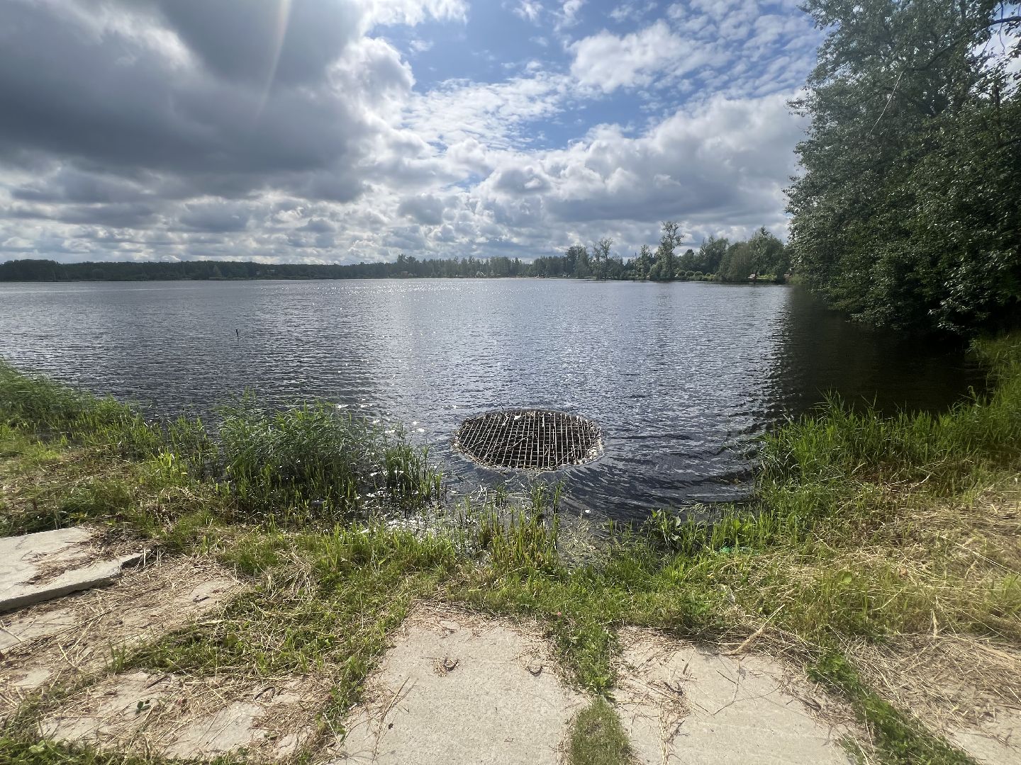 Запрудня, талдомский городской округ,