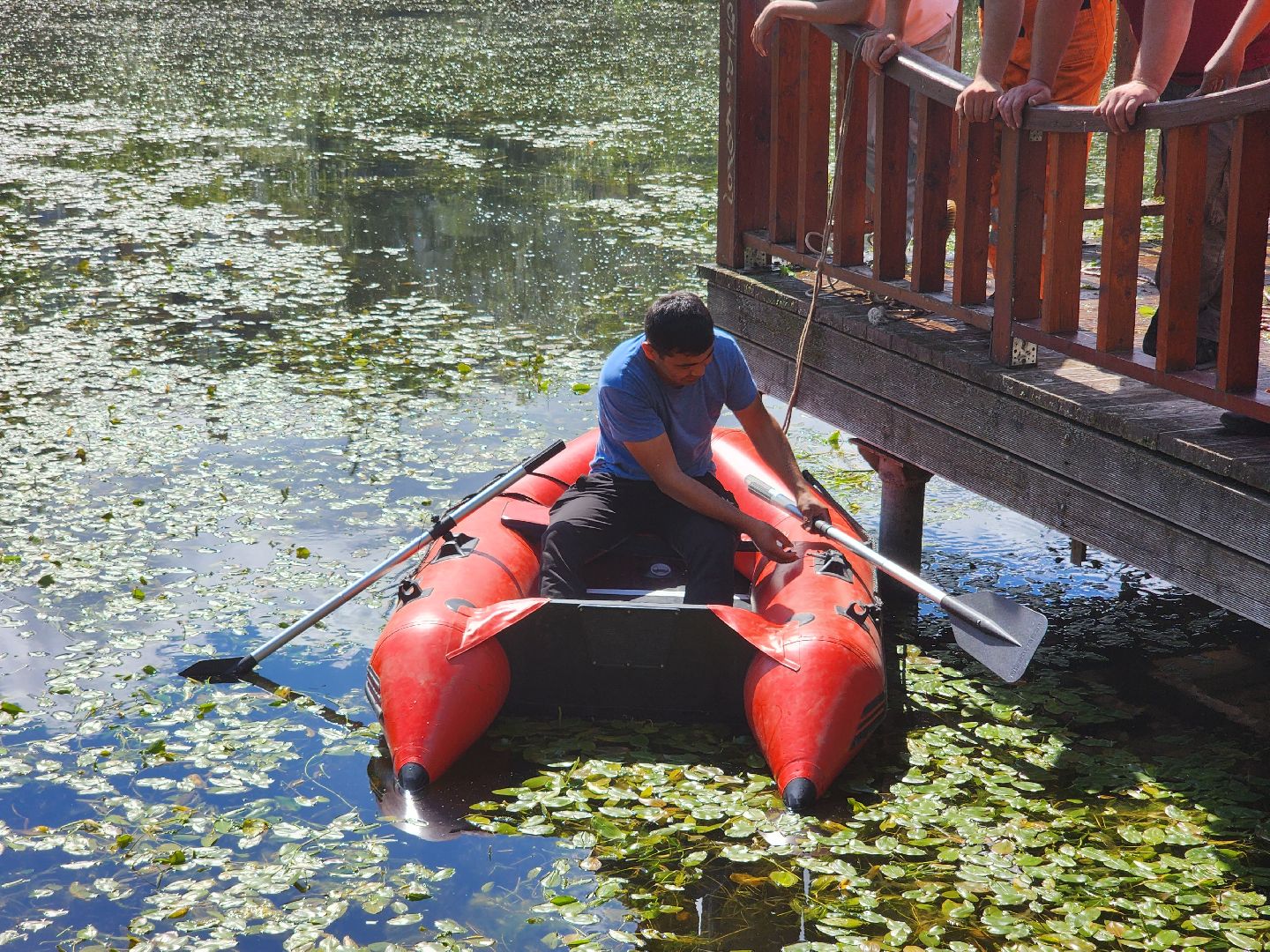 королёв, экоакция, благоустройство , сквер героев курсантов, микрорайон юбилейный,