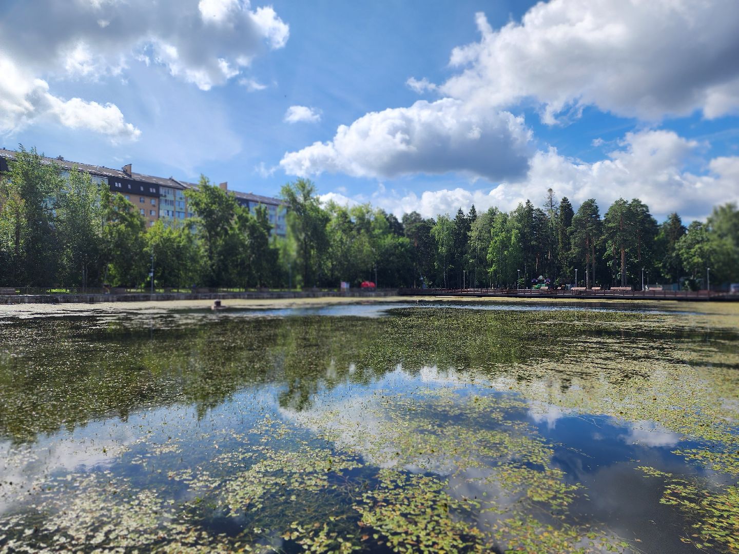 королёв, экоакция, благоустройство , сквер героев курсантов, микрорайон юбилейный,