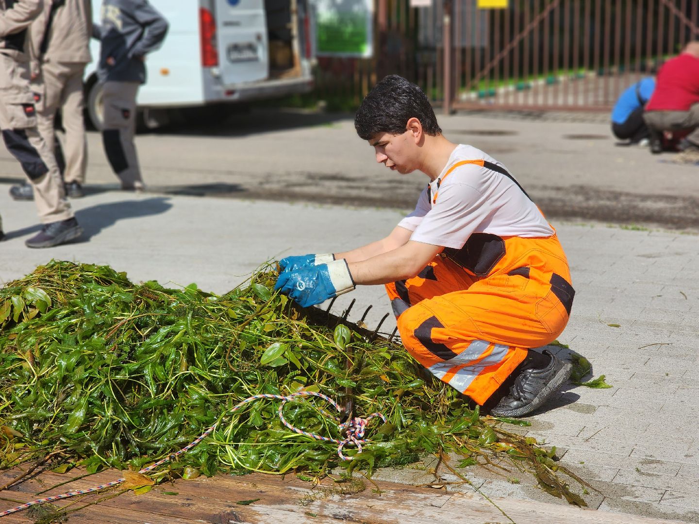 королёв, экоакция, благоустройство , сквер героев курсантов, микрорайон юбилейный,