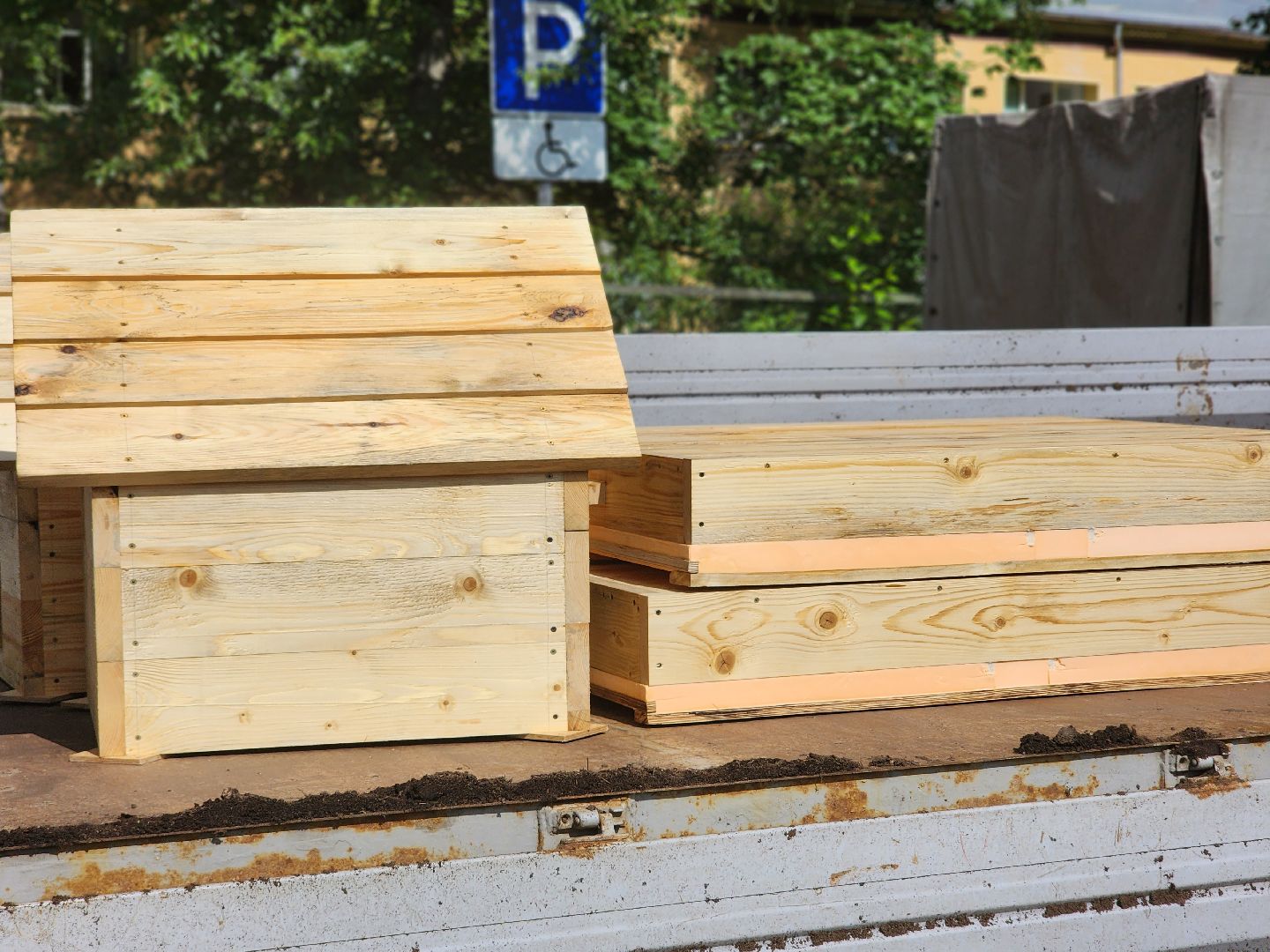 королёв, экоакция, благоустройство , сквер героев курсантов, микрорайон юбилейный,