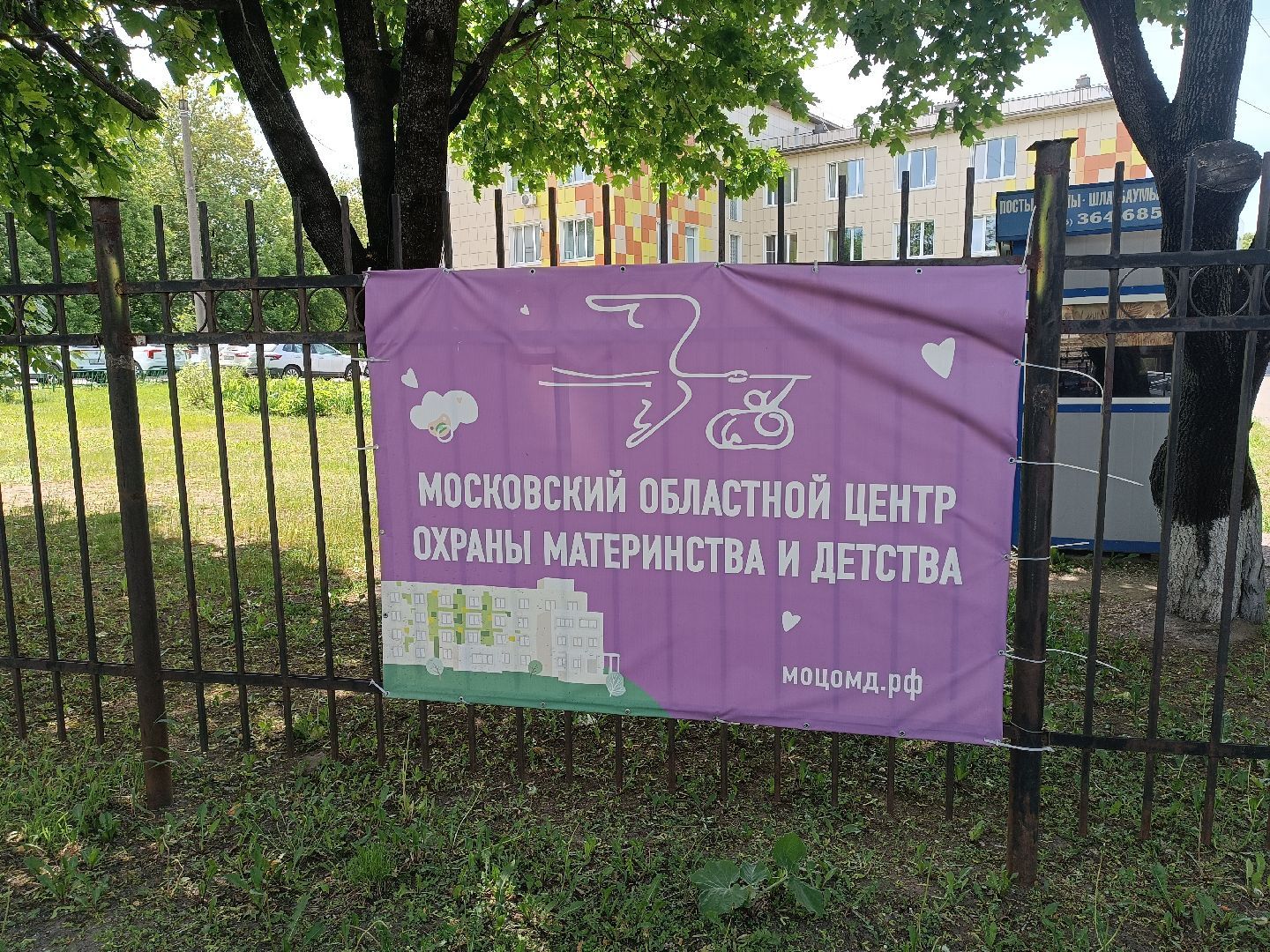 люберцы, моцомд, дети, встречи, роддом, врач,