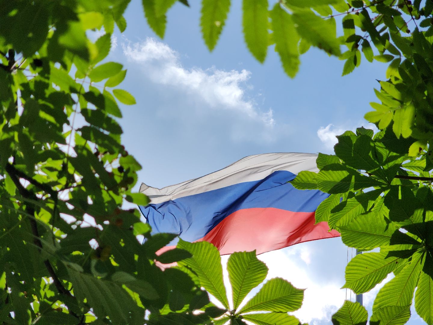 Егорьевск, Подмосковье, Московская область,