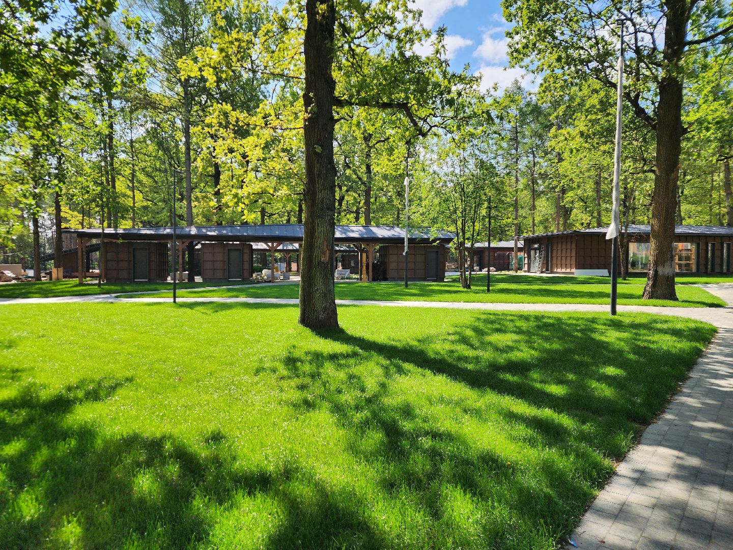 подольск, парк дубрава, реконструкция,