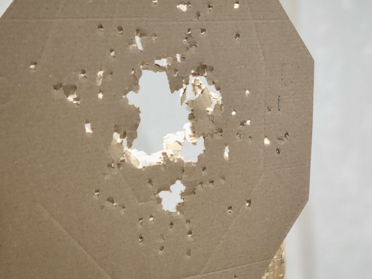 дубна, спорт, стрельба, стрелковый клуб,