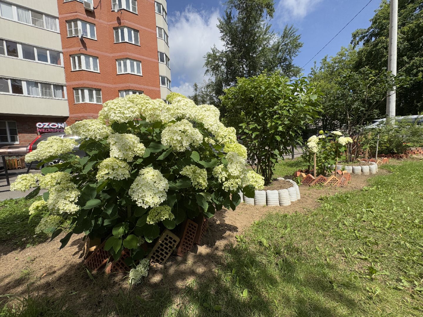 балашиха, двор-оранжерея, заречная улица,