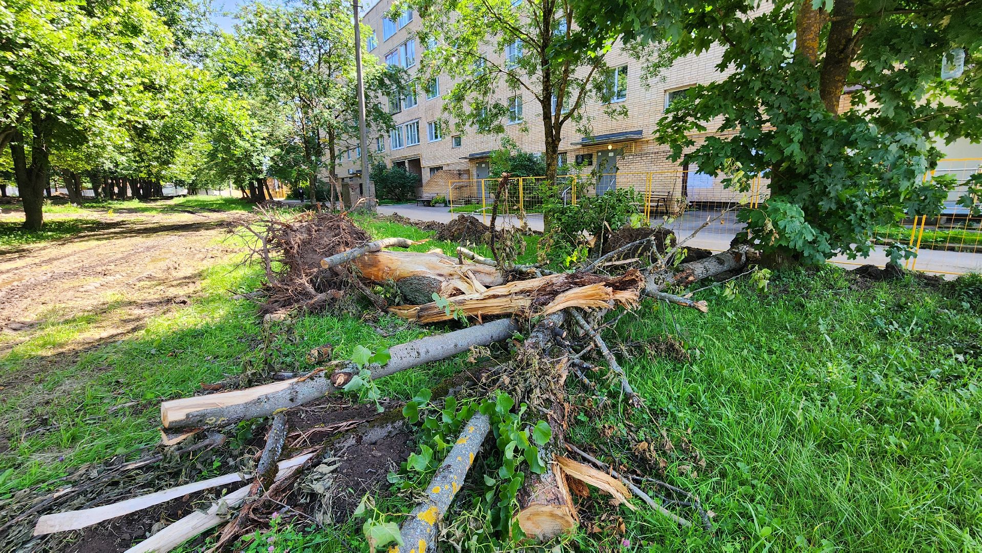 Руза , Благоустройство , благоустройство сквера,министерство благоустройства,