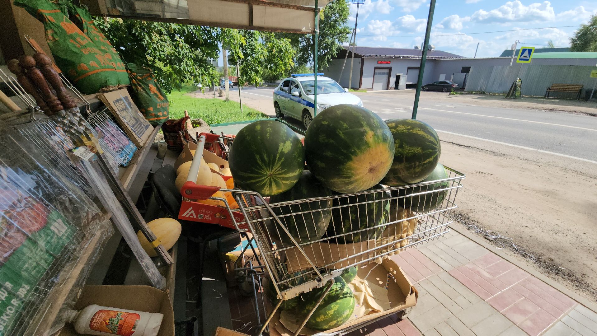 Руза, Тучково, Незаконная торговля , предпринимательская деятельность, Экономика,