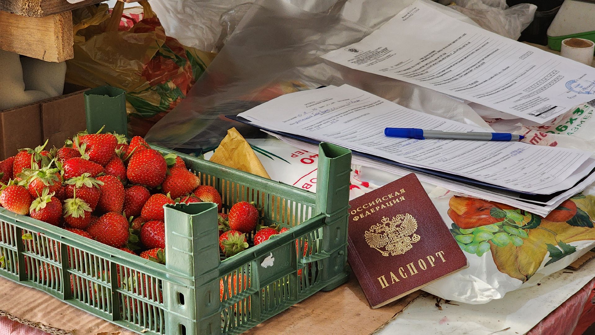 Руза, Тучково, Незаконная торговля , предпринимательская деятельность, Экономика,