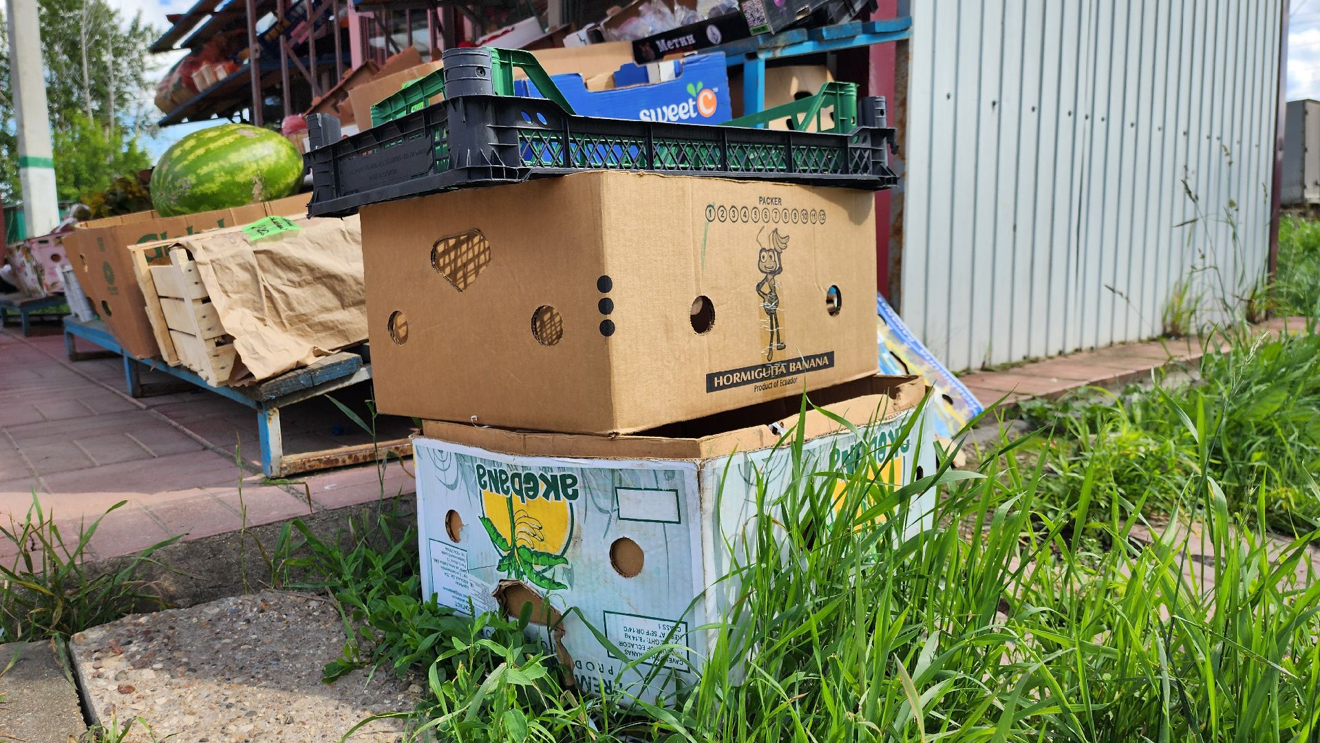 Руза, Тучково, Незаконная торговля , предпринимательская деятельность, Экономика,