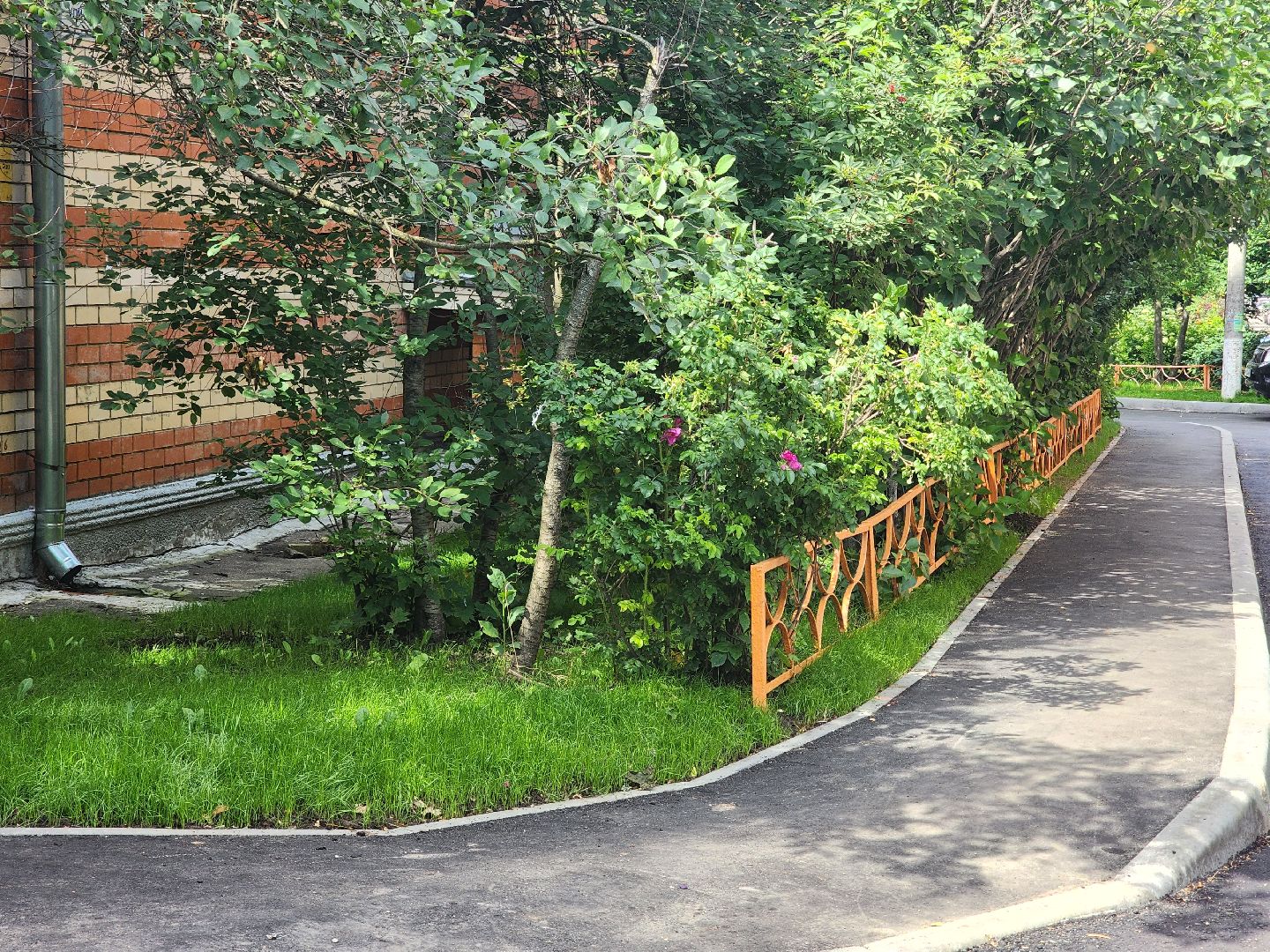 королёв,  благоустройство , обновленный двор на грабина,