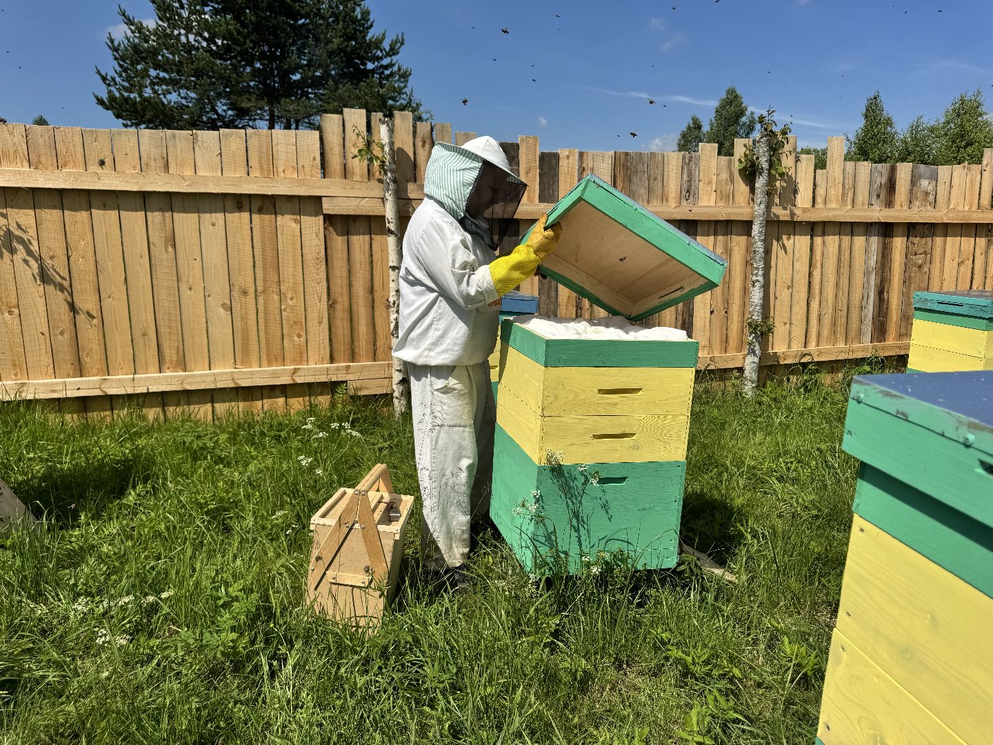 шаховская, пасека, пчеловод, пчелы,