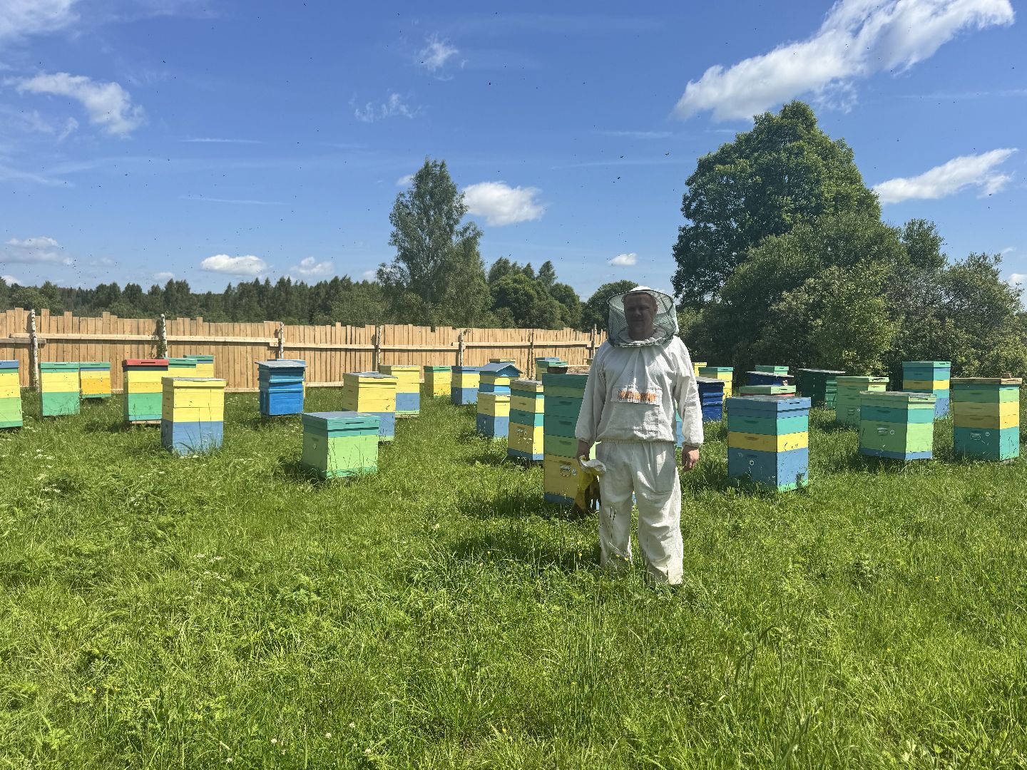 шаховская, пасека, пчеловод, пчелы,