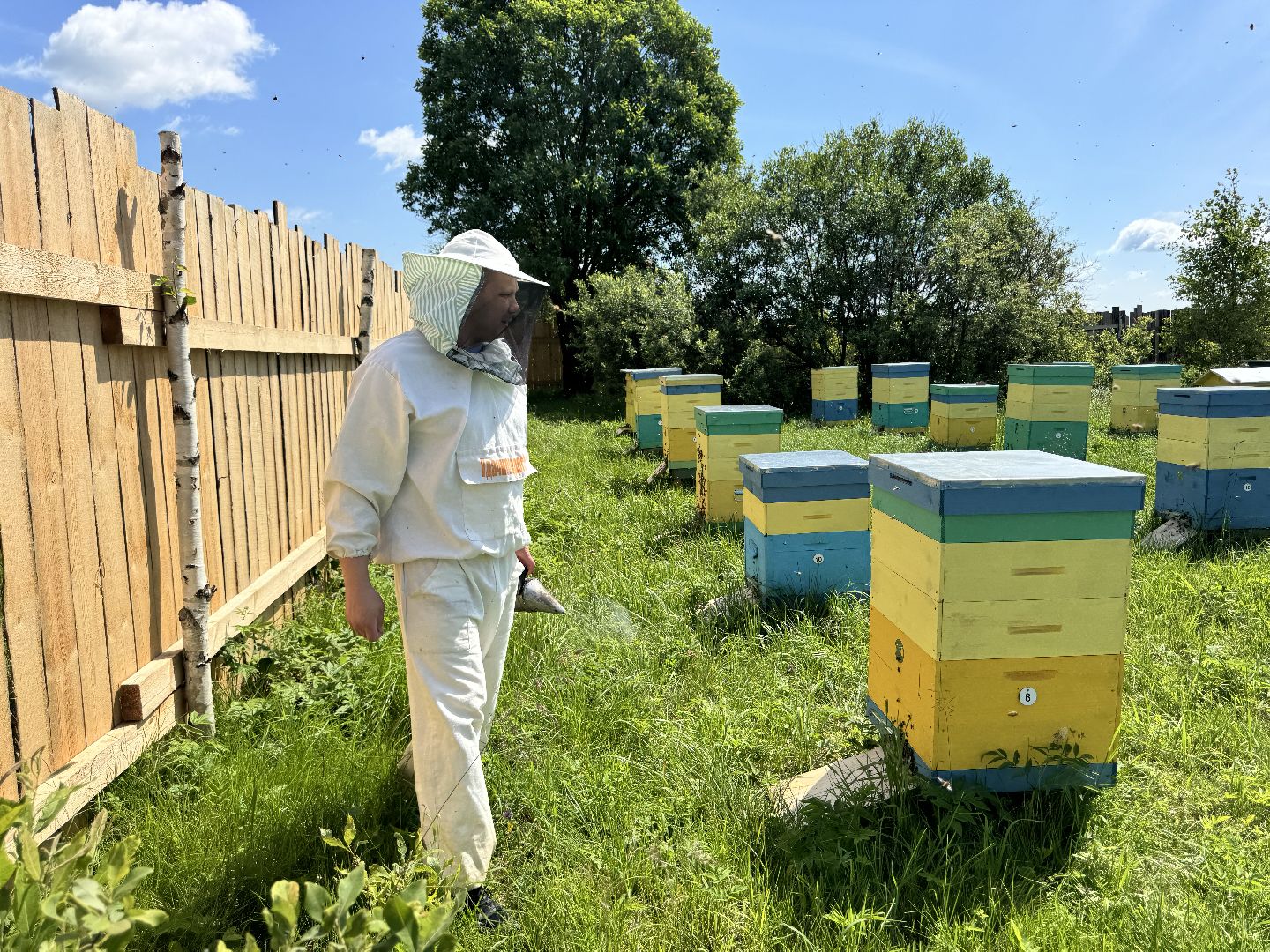 шаховская, пасека, пчеловод, пчелы,