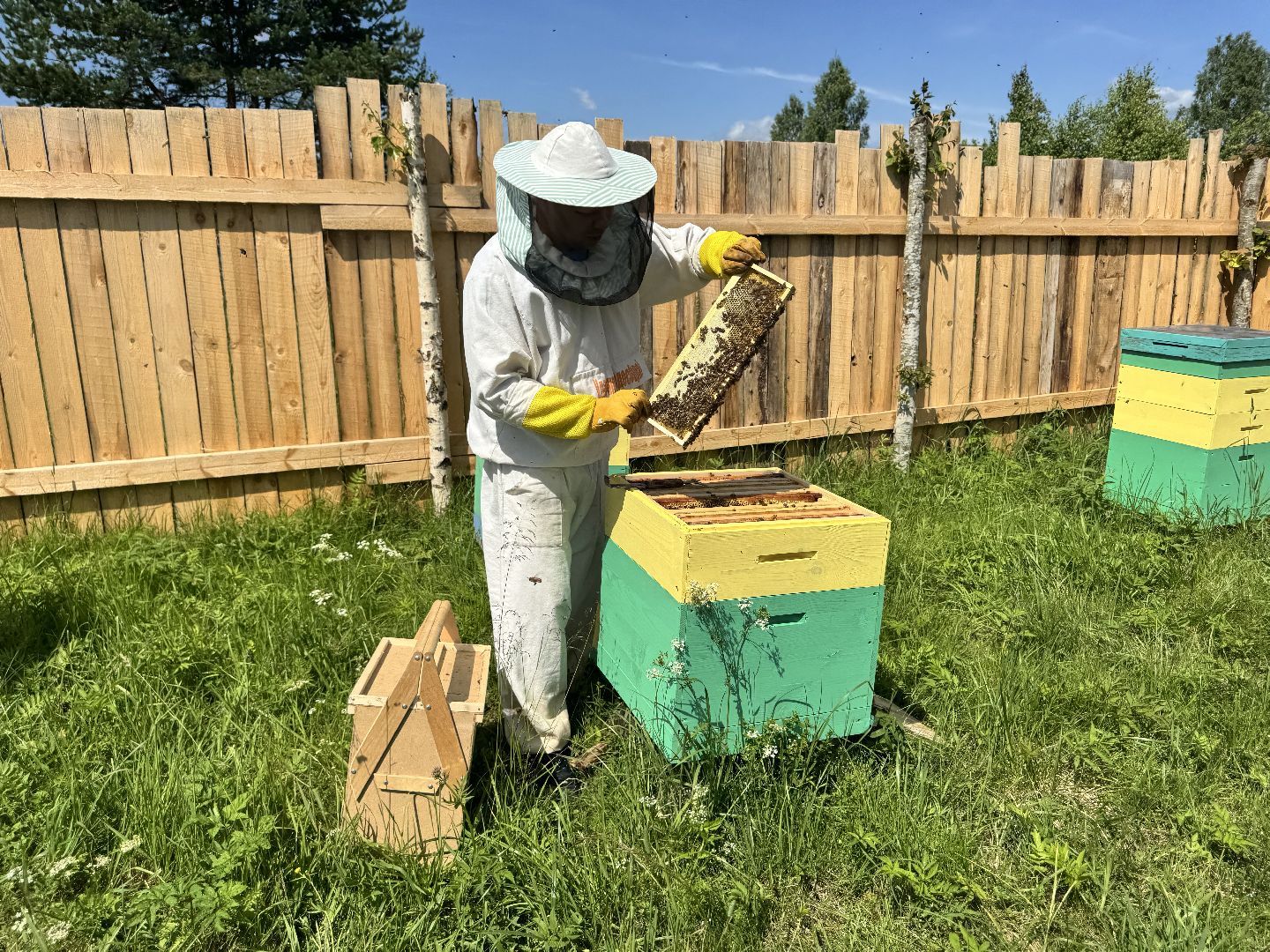 шаховская, пасека, пчеловод, пчелы,