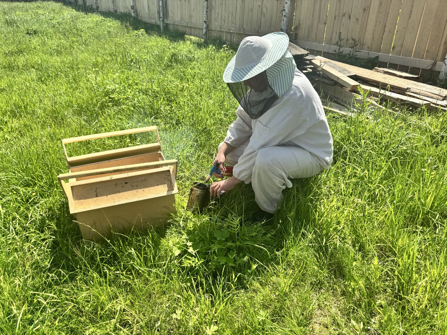 шаховская, пасека, пчеловод, пчелы,
