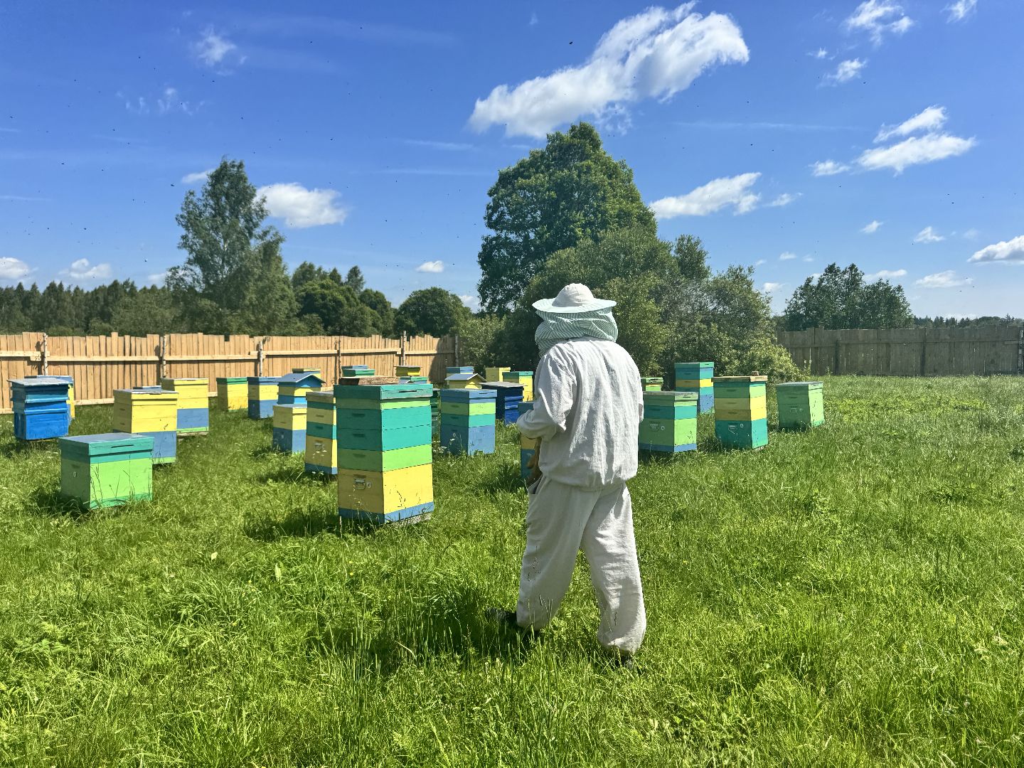 шаховская, пасека, пчеловод, пчелы,