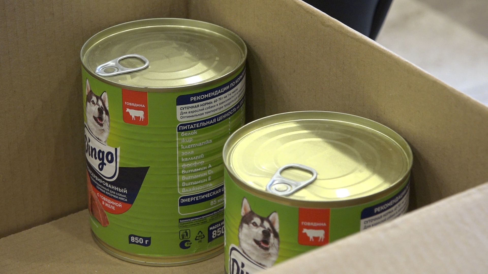 день собак, благотворительная акция, власиха волонтеры, помоги приюту, приют умка лесной городок,