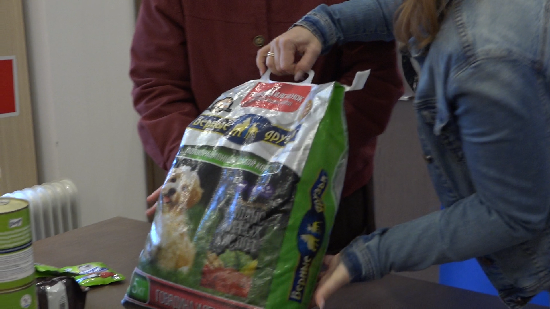 день собак, благотворительная акция, власиха волонтеры, помоги приюту, приют умка лесной городок,