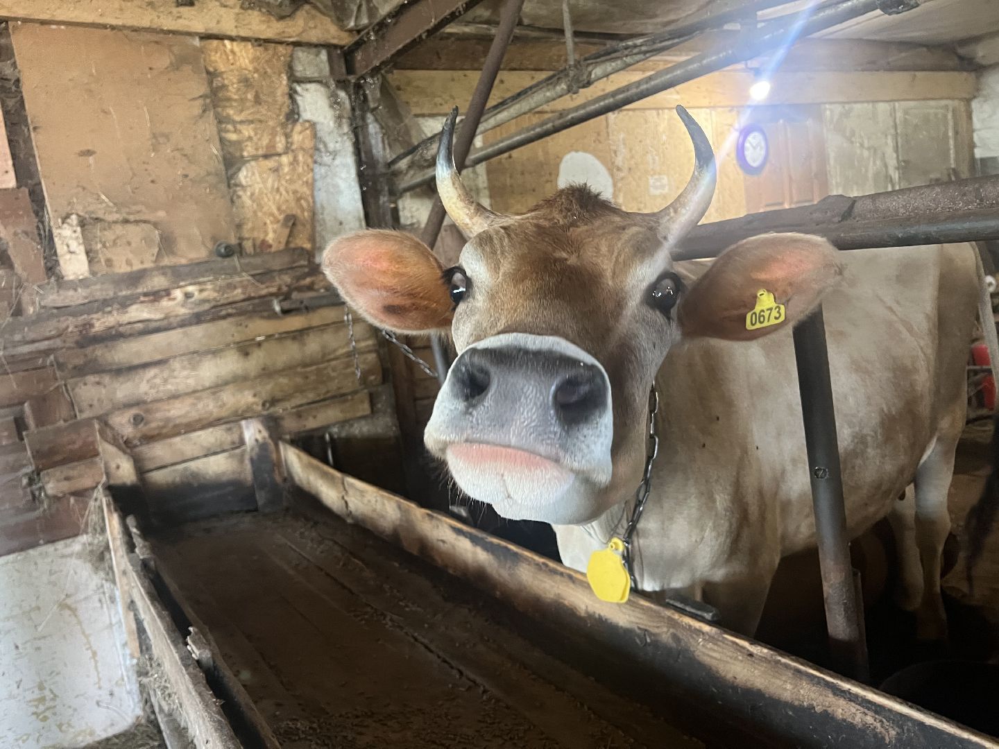 талдомский городской округ, Сельхос,