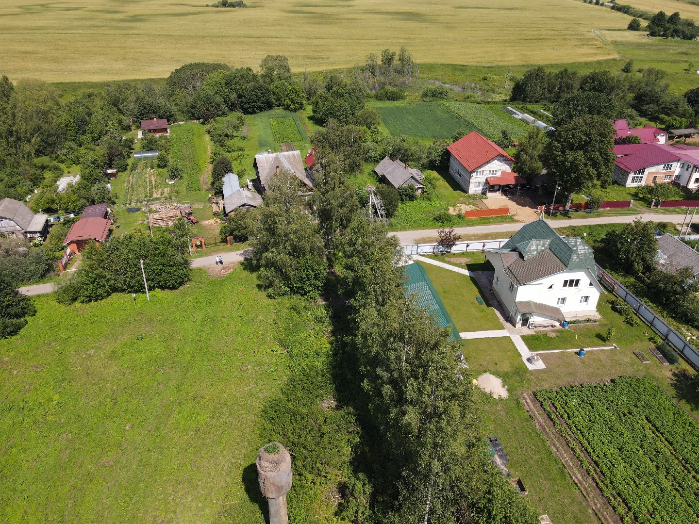 лотошино, экология, аисты,