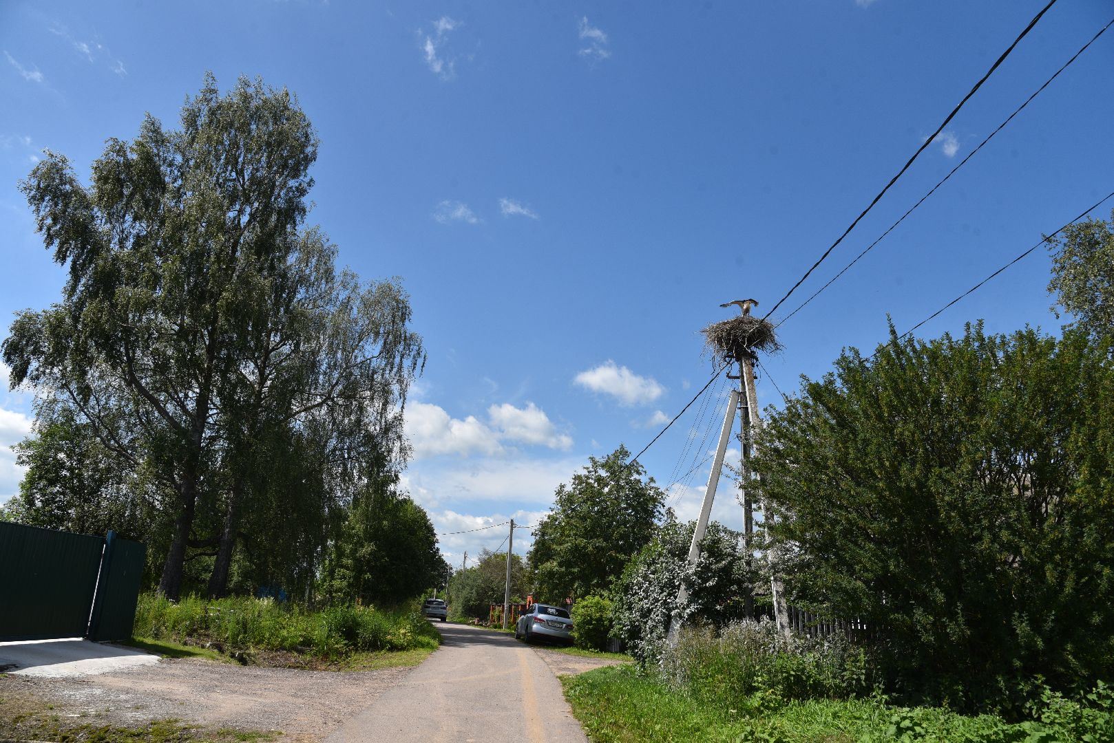 лотошино, экология, аисты,