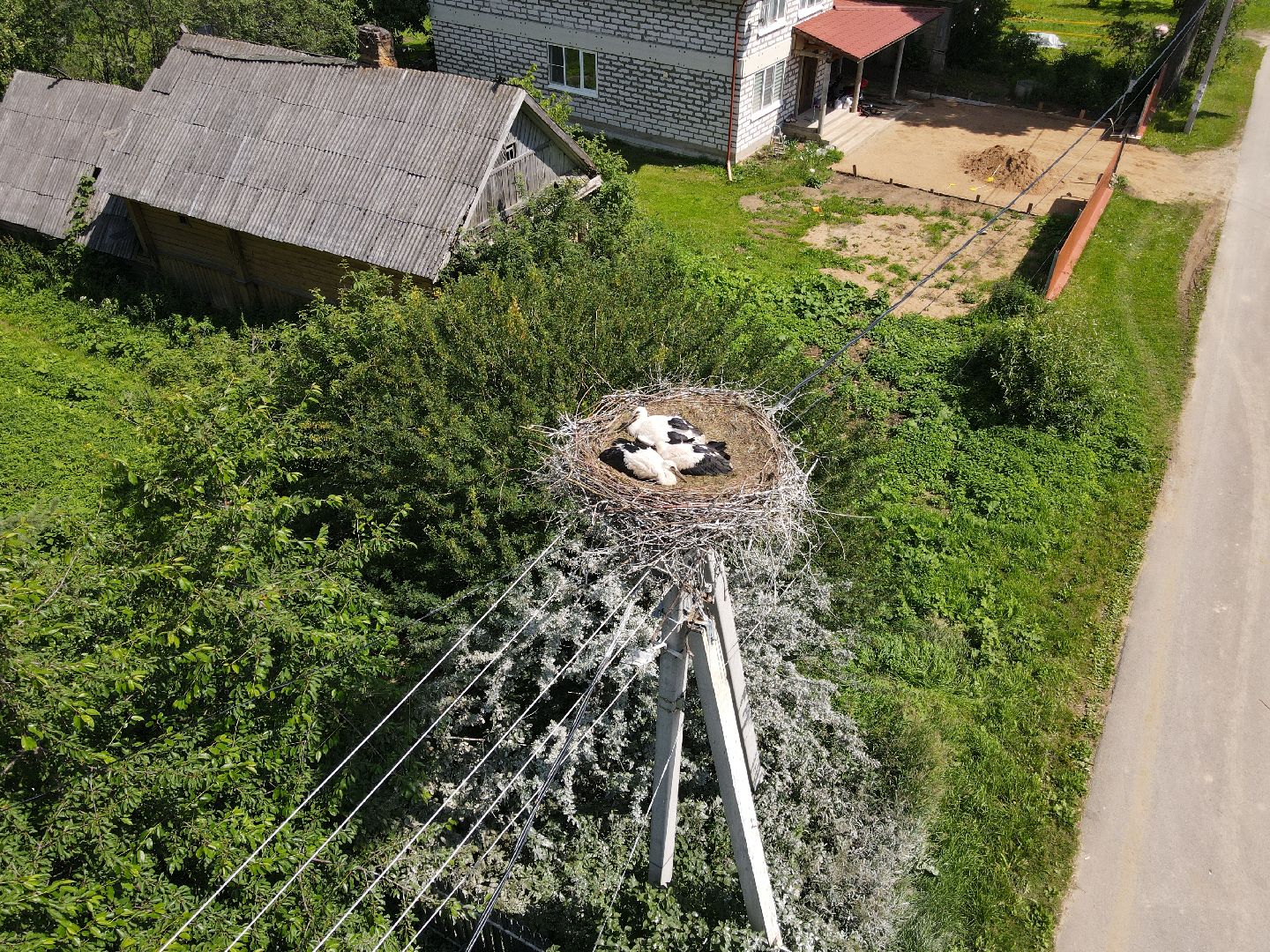 лотошино, экология, аисты,