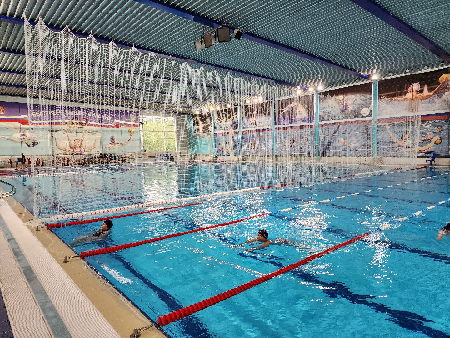 чехов, дворец спорта олимпийский, полина прощенко, синхронное плавание, судья, тренер, международные соревнования, допуск, санкции, биография, достижения,