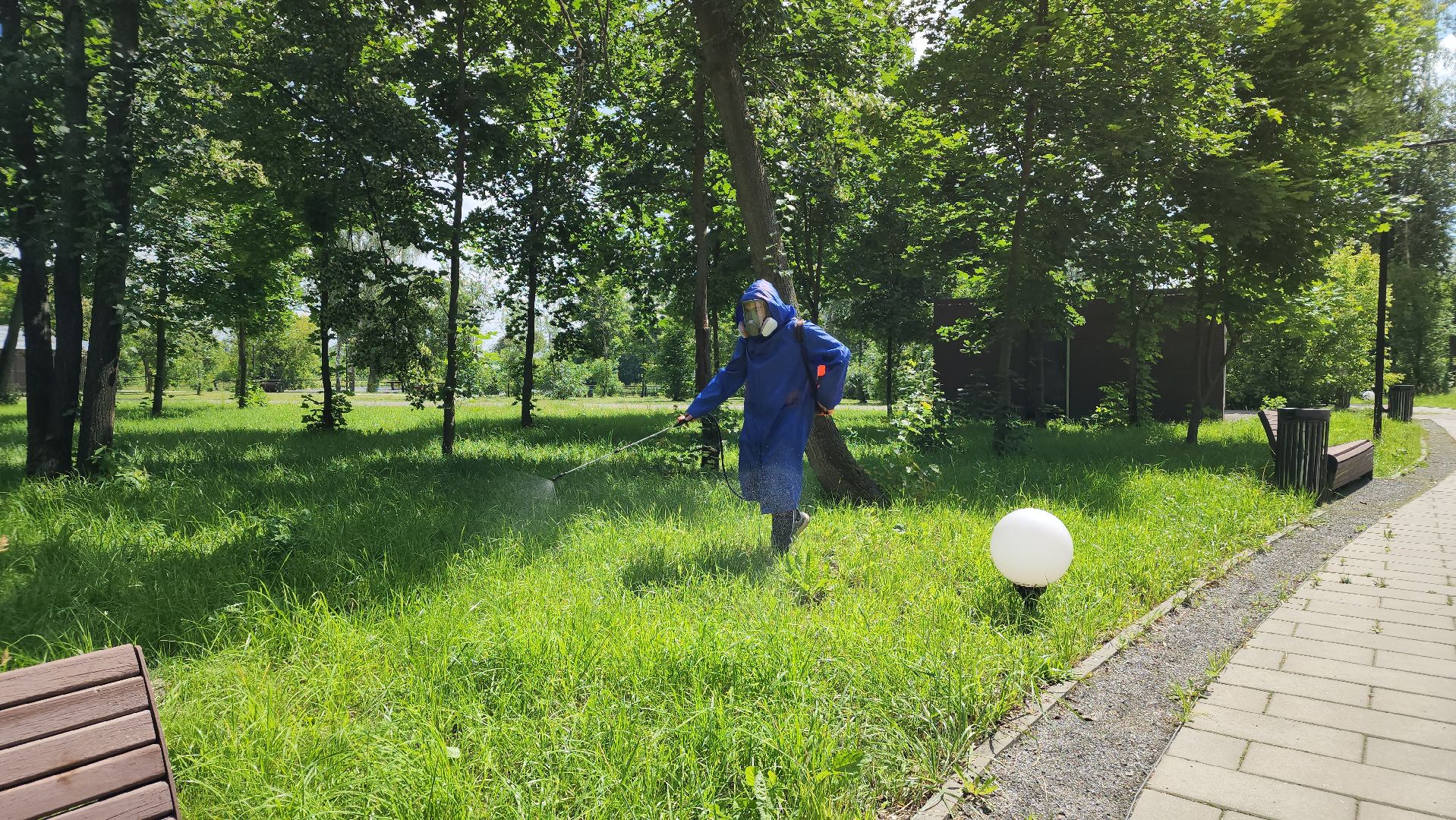 парки подмосковья, акарицидная обработка, лосино-петровский,