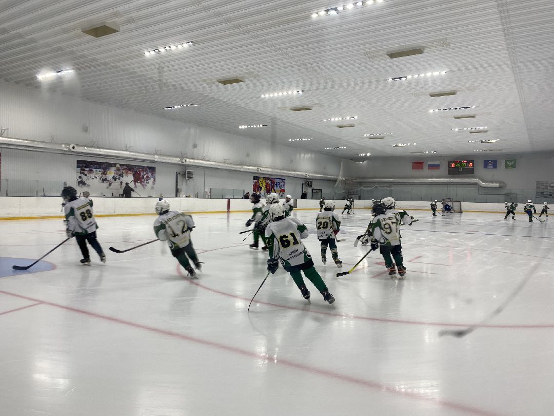 Шаховская, хоккей, ледовый дворец, детский спорт,