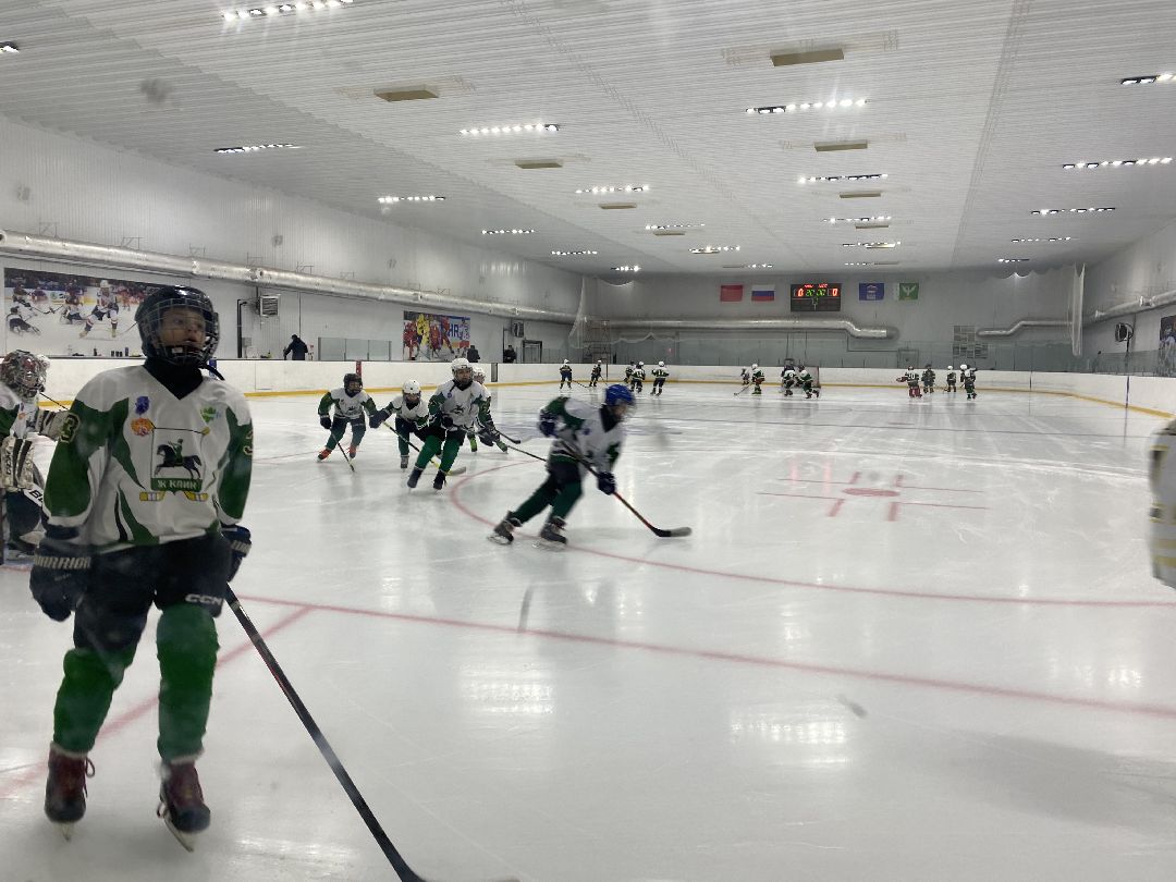 Шаховская, хоккей, ледовый дворец, детский спорт,