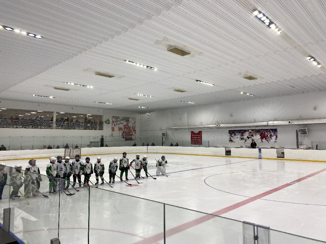 Шаховская, хоккей, ледовый дворец, детский спорт,