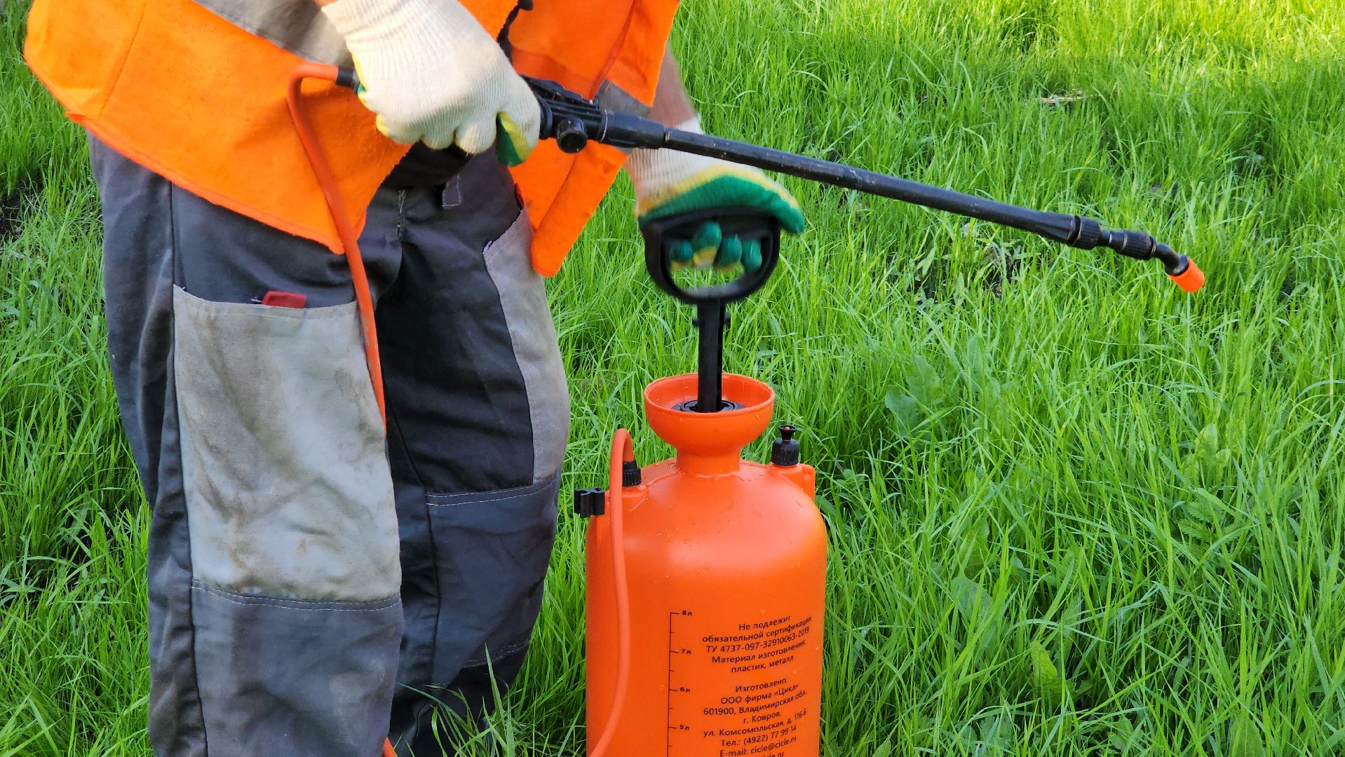 Сад Победы , Лобня , плодовый сад,Обработка деревьев ,