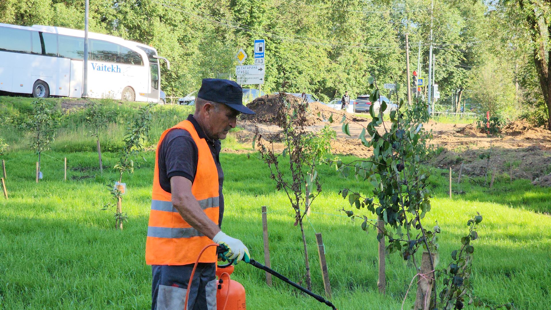 Сад Победы , Лобня , плодовый сад,Обработка деревьев ,