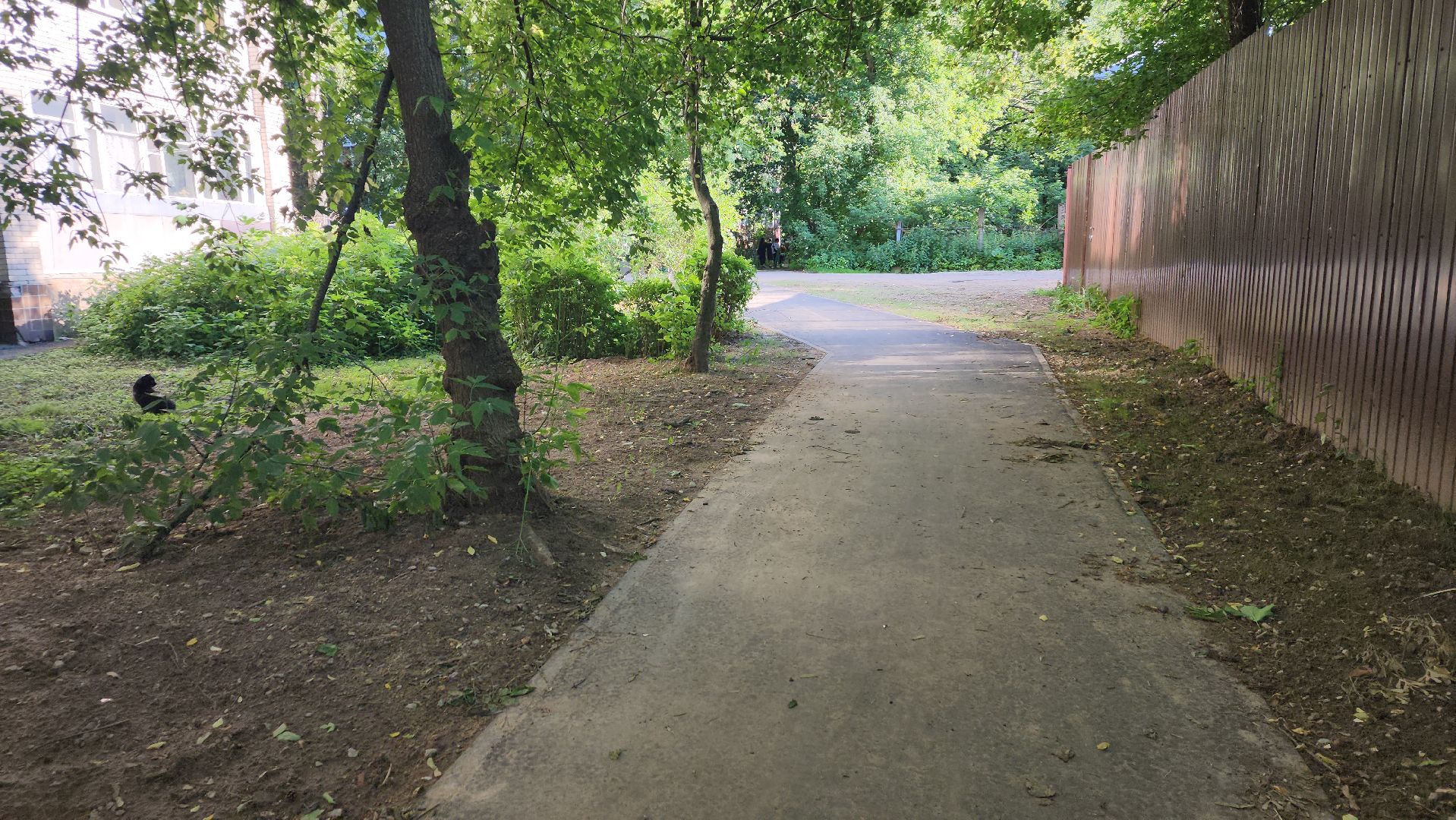 вертикалки, пушкино, пешком в подмосковье, народная тропа, асфальтирование,благоустройство,новый тротуар,региональная программа,