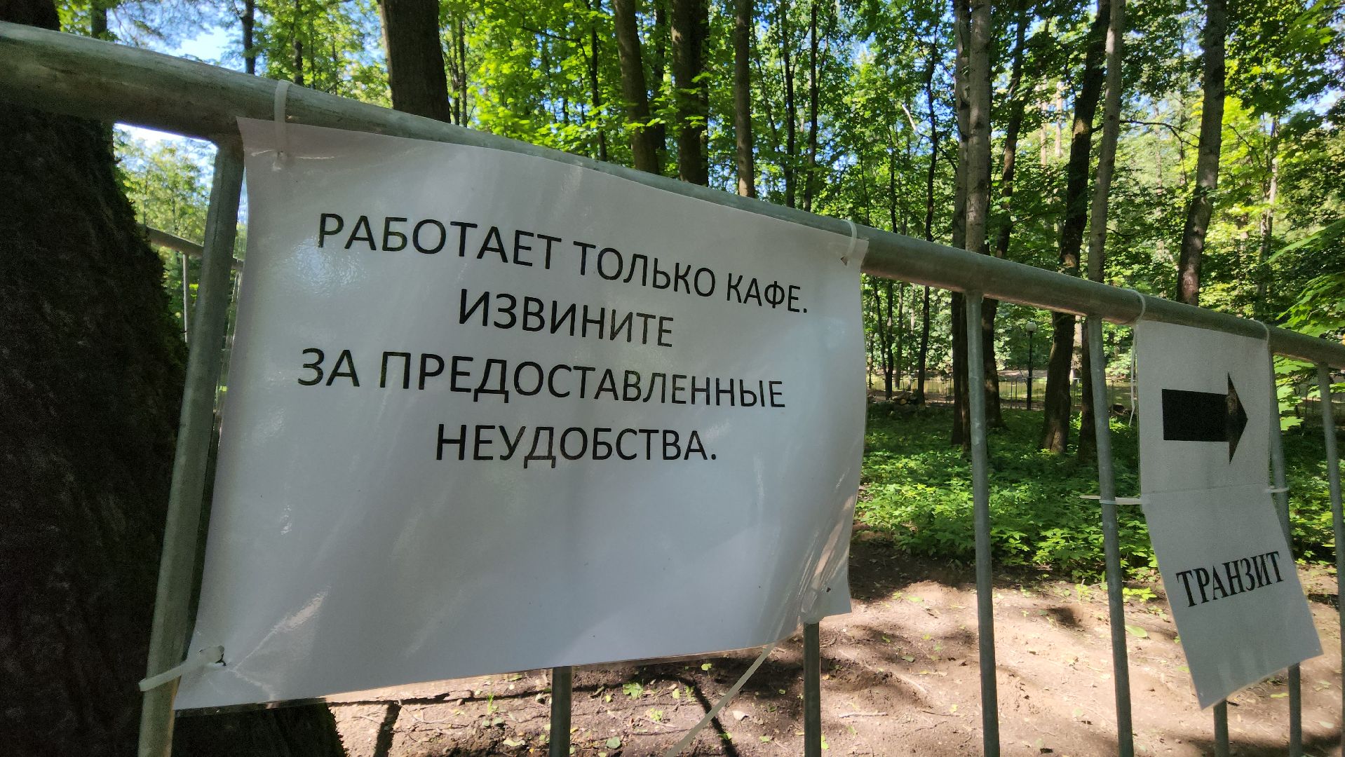 красногорск, городской парк, реконструкция,