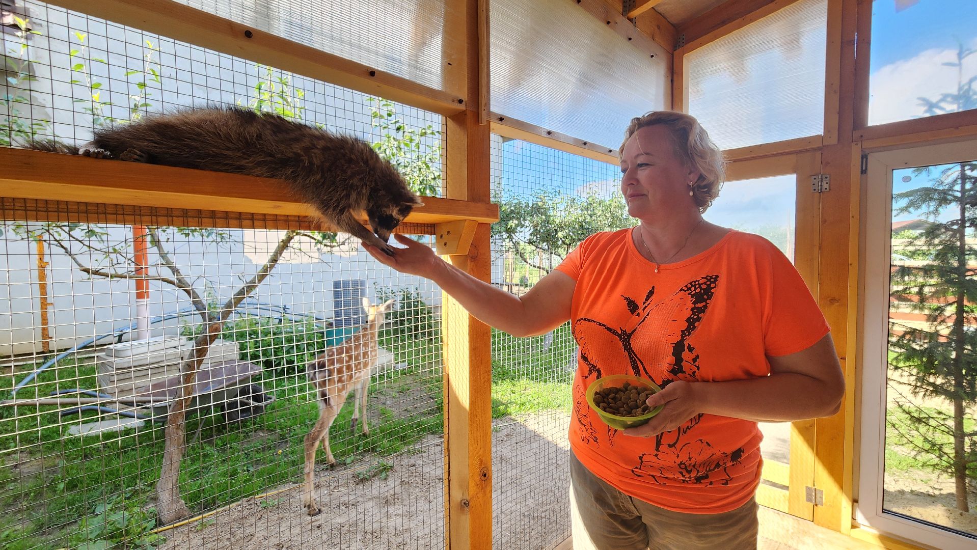 солнечногорск, сенежский олень, животные, туризм, мини-ферма,