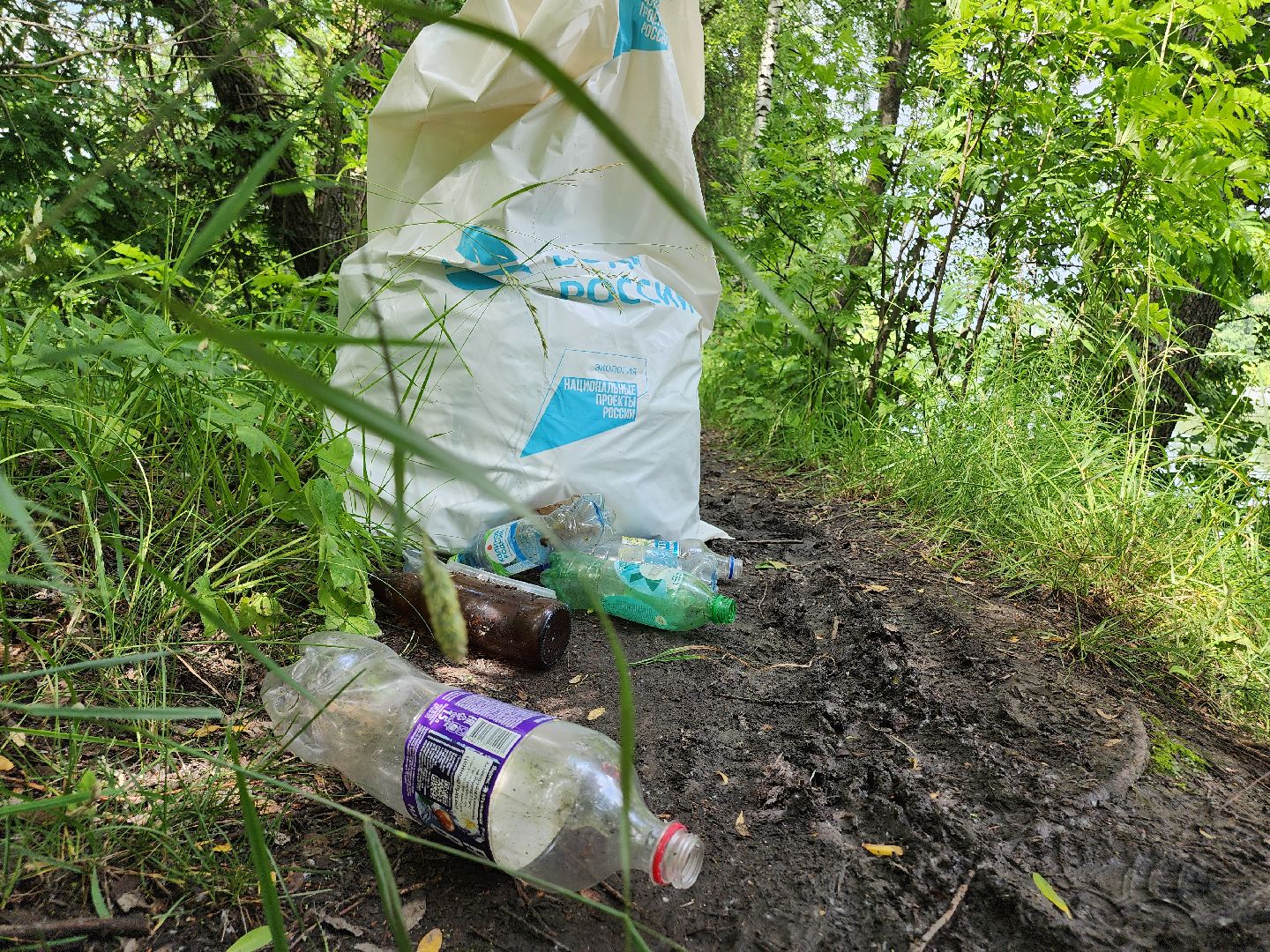 Егорьевск, Подмосковье, Московская область,