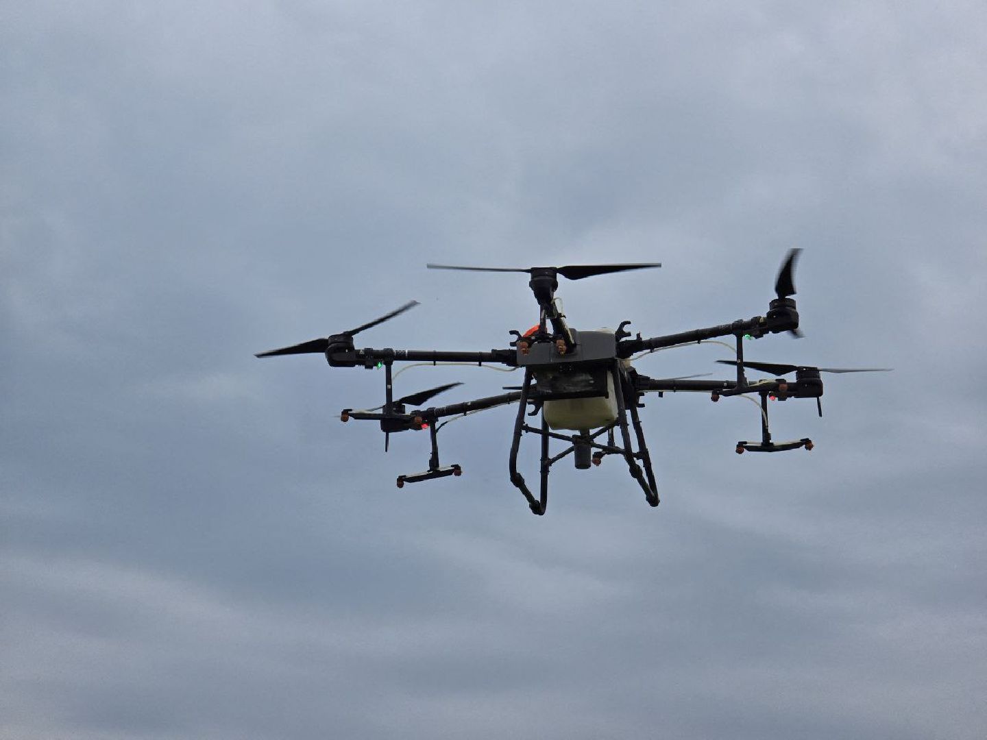 можайск, можайский муниципальный округ, подмосковье, борьба с борщевиком, борщевик Сосновского , дроны, современные технологии, экология,