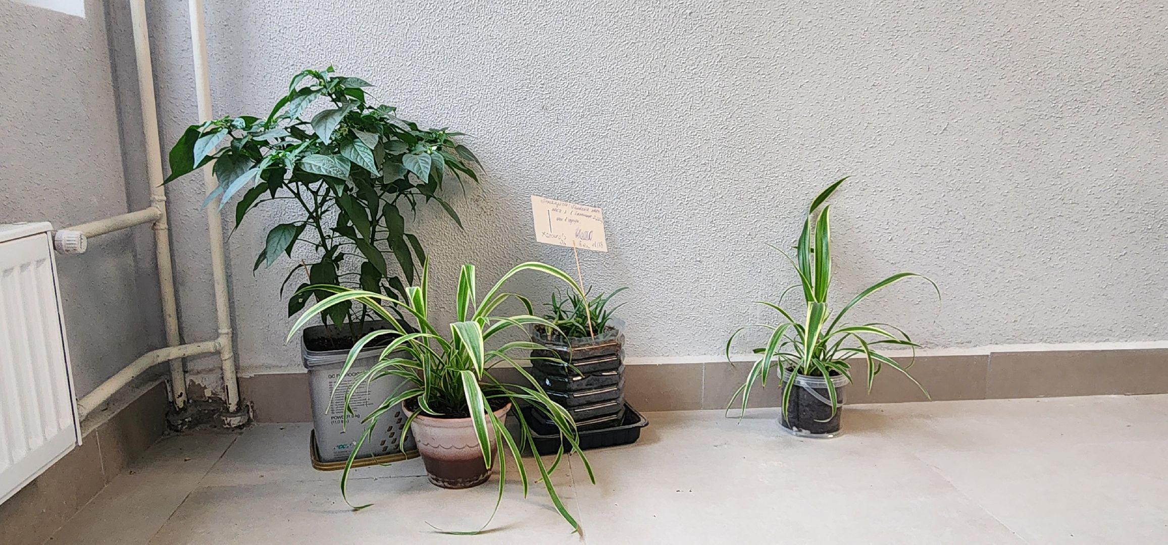 Химки, Строительство , Новостройки , Жилье,