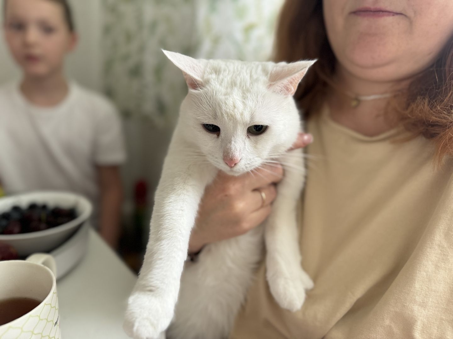 многодетная семья, день семьи любви и верности, ленинский городской округ, семейные ценности,