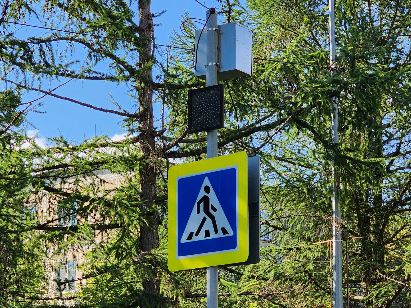 чехов, улица молодежная, ремонт дороги, замена покрытия, дорожный ремонт, новые бордюры, госпрограмма московской области, развитие дорожного комплекса,