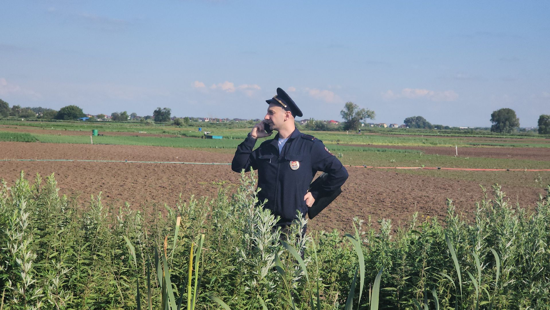 Люберцы, д Михнево, волонтеры, зоозащитники,