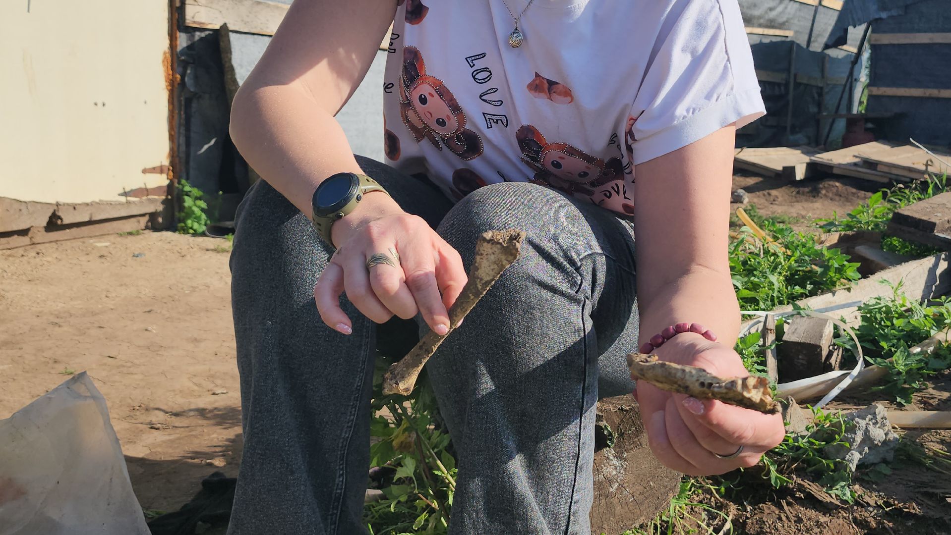Люберцы, д Михнево, волонтеры, зоозащитники,