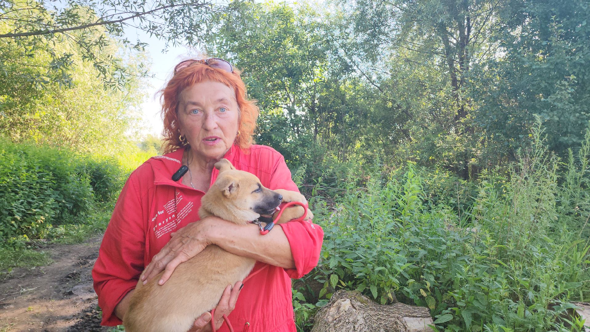 Люберцы, д Михнево, волонтеры, зоозащитники,