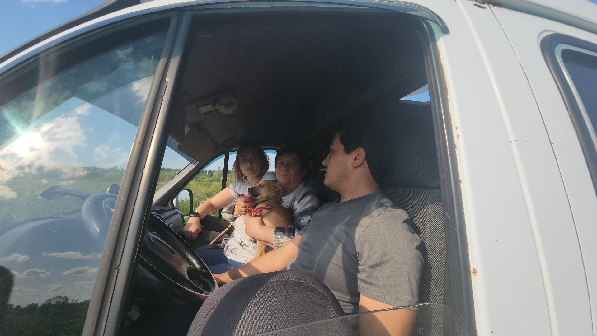 Люберцы, д Михнево, волонтеры, зоозащитники,